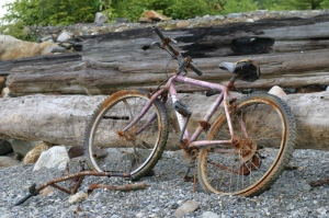old-rusty-bike1